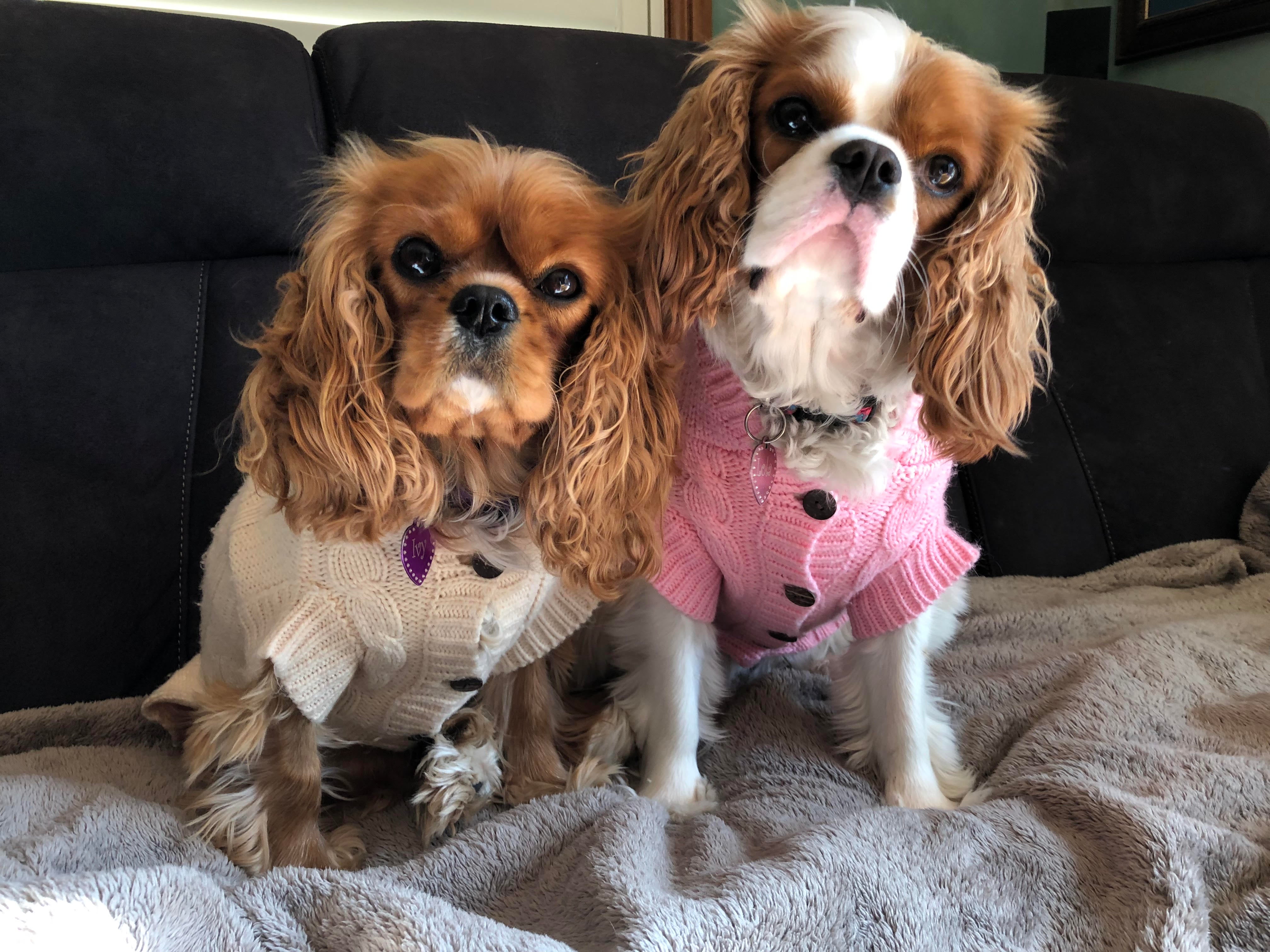Coco & Pud Edinburgh Dog Sweater - Light Pink - Coco & Pud