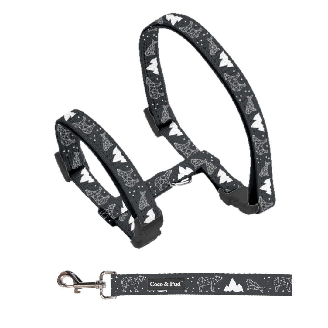 Coco & Pud Luna Bear Cat Harness & Lead Set