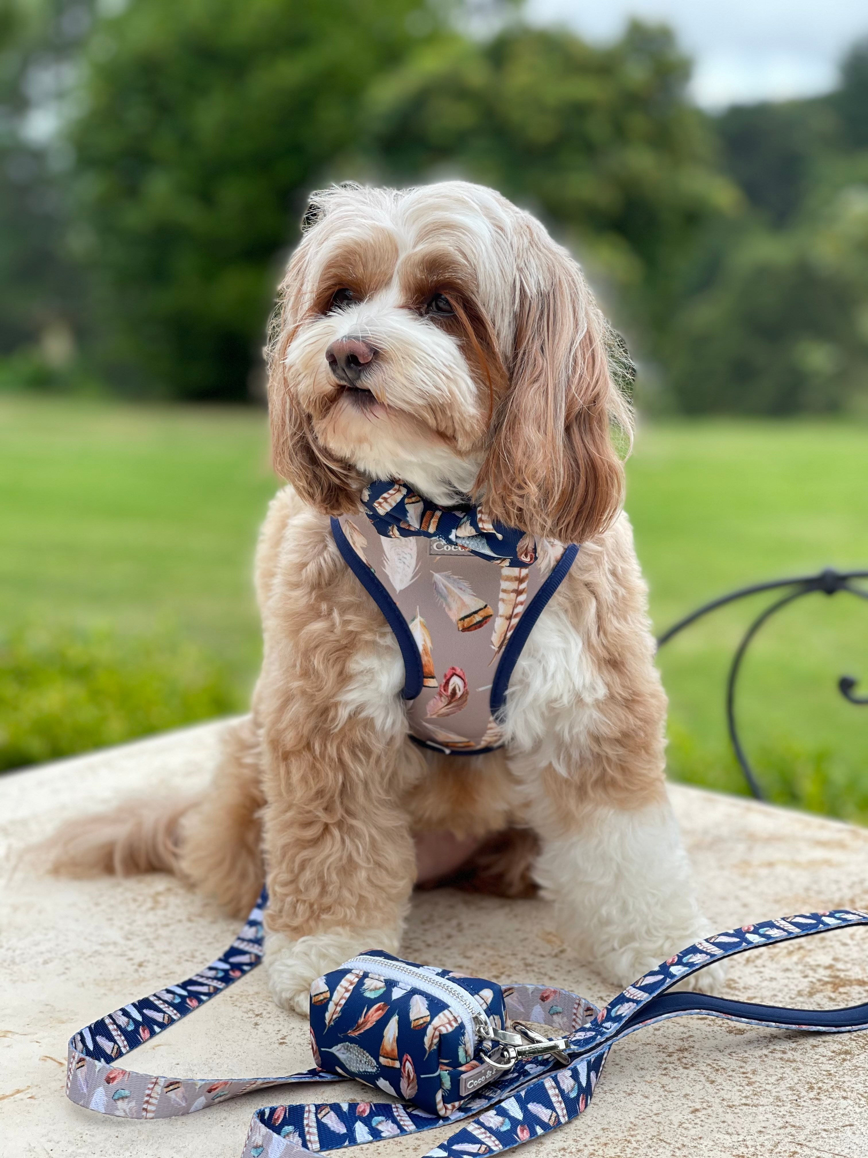 Maisie in Coco & Pud Birds of a Feather