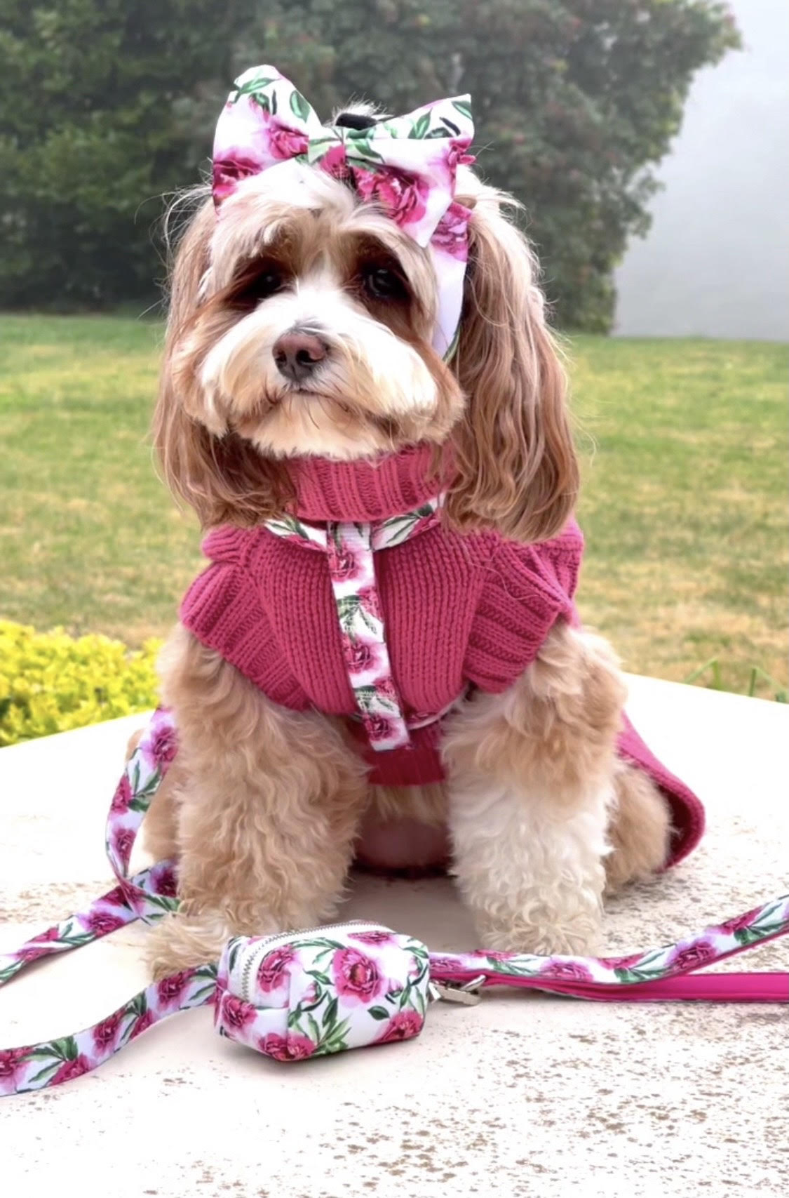 Coco Cable Dog Sweater/ Dog Jumper - Peony