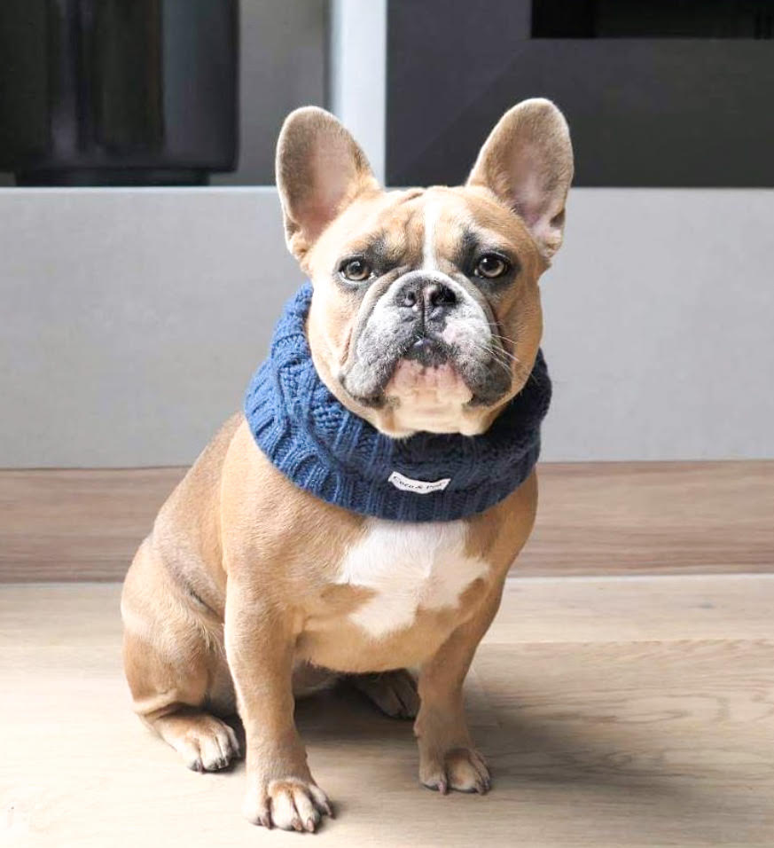 Miss Milly in Coco & Pud Coco Cable Snood Navy