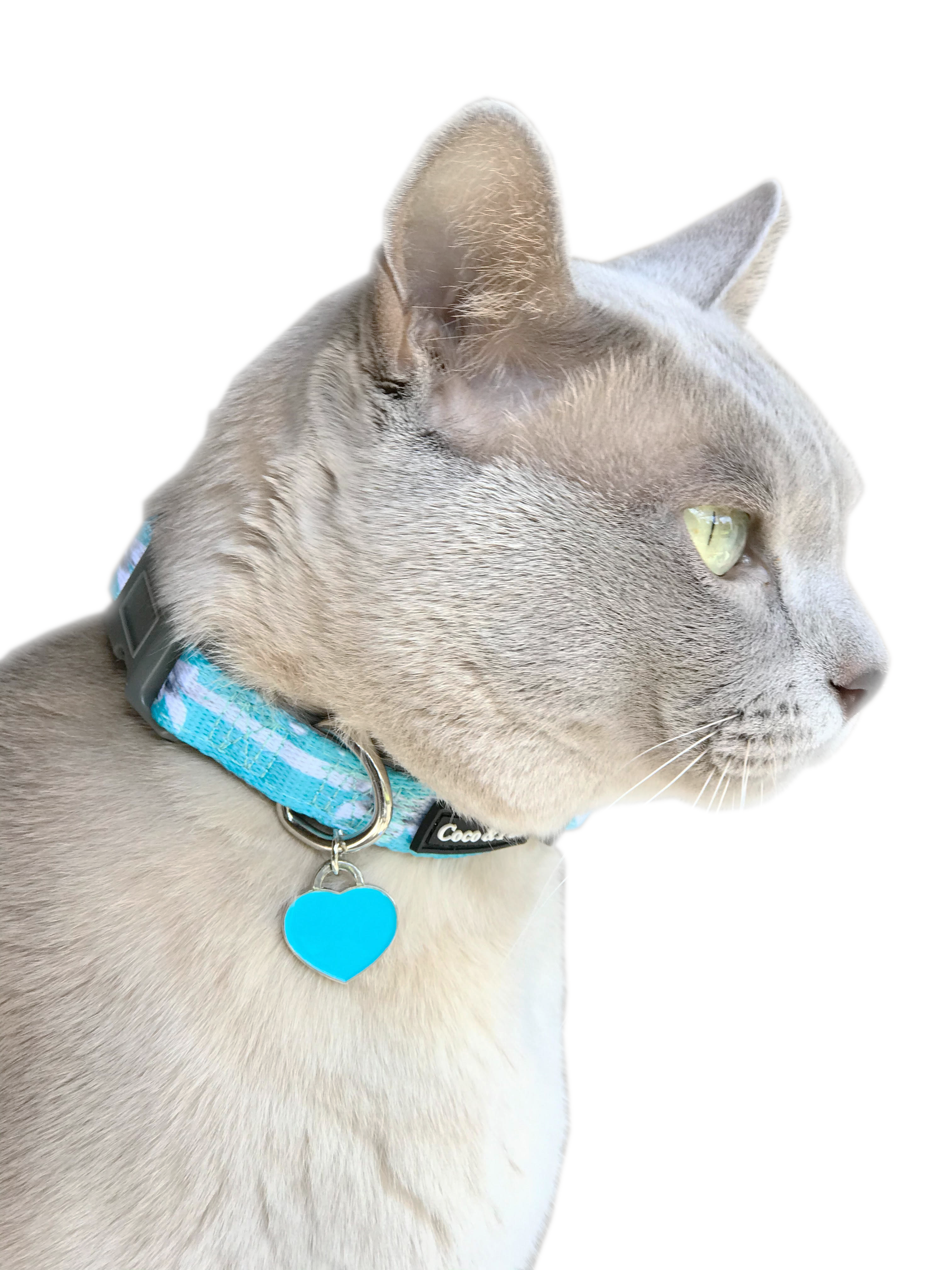 Coco & Pud Audrey Cat Collar & ID Tag