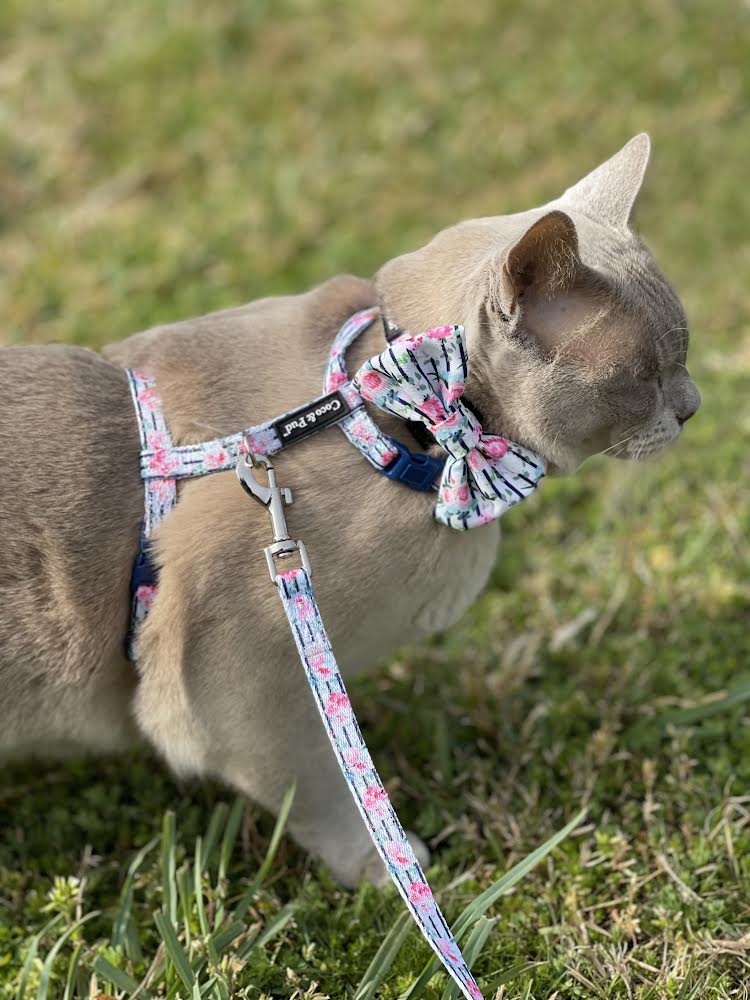 Coco & Pud Floral Blooms Cat Harness