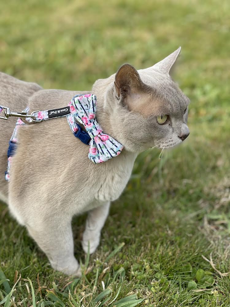 Coco & Pud Floral Blooms Cat Harness