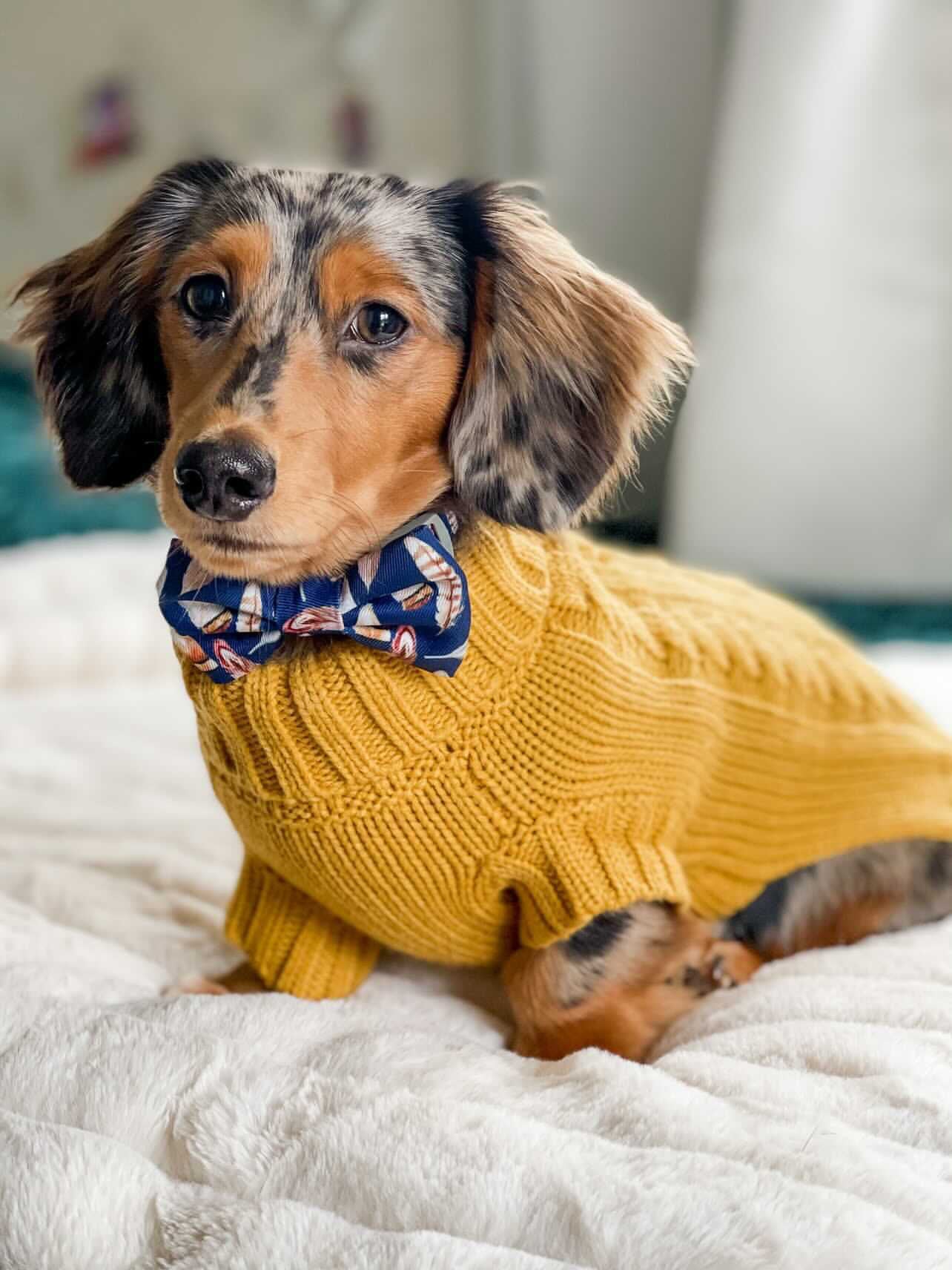 Loki in Coco & Pud Coco Cable Mustard Sweater