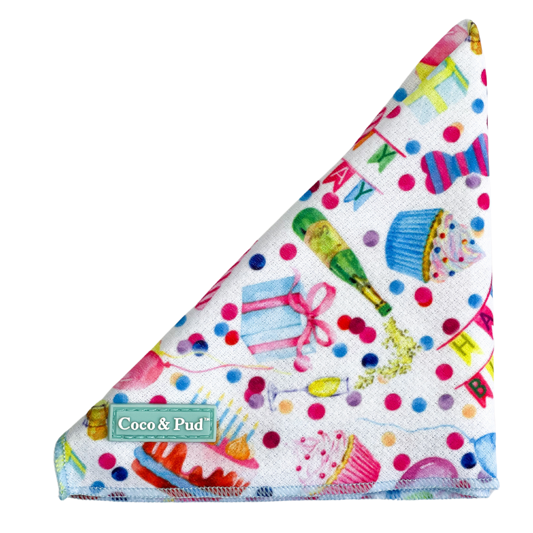 Coco & Pud Pawsome Party Dog Bandana