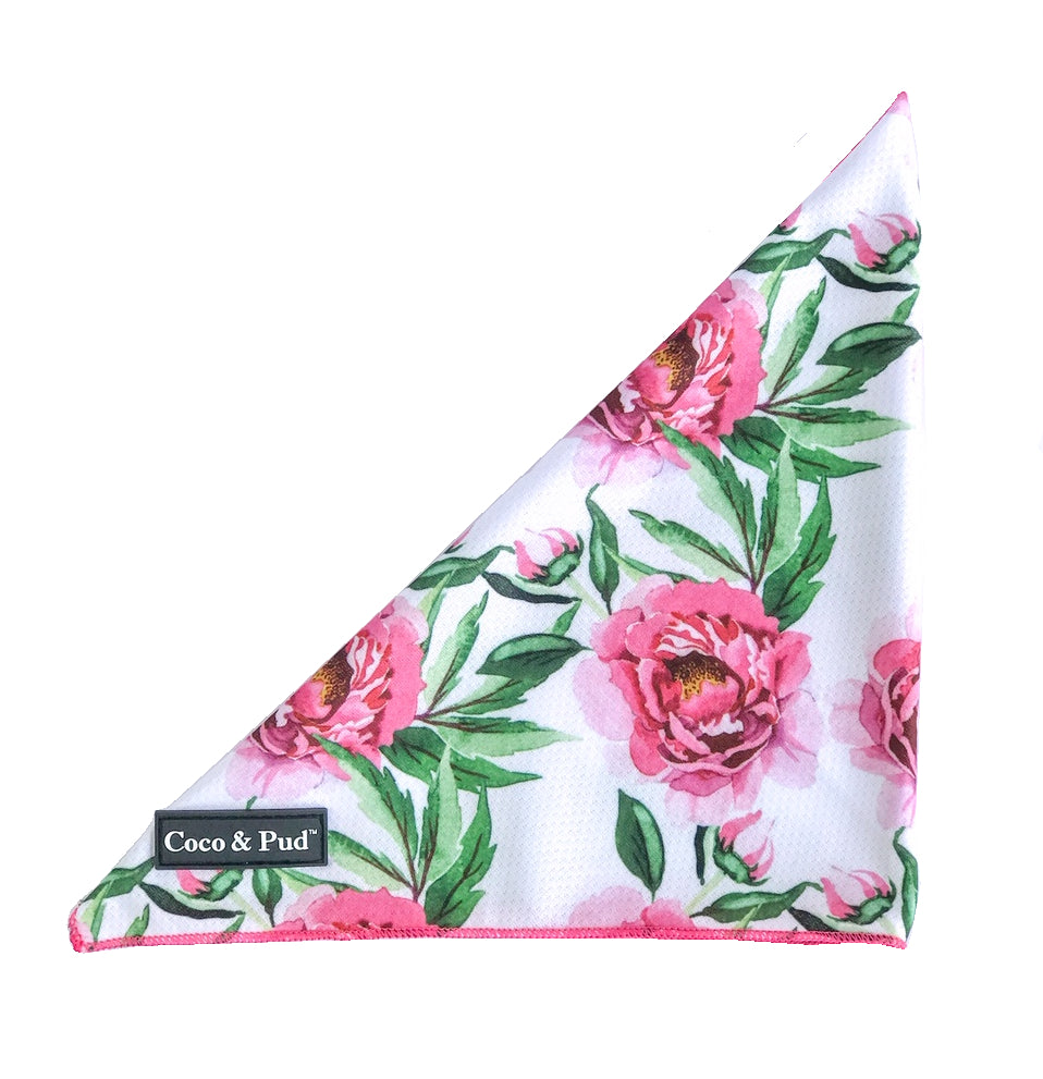 Coco & Pud Peony Bandana