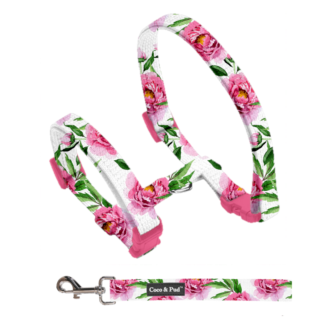 Coco & Pud Peony puppy Harness & Lead Set
