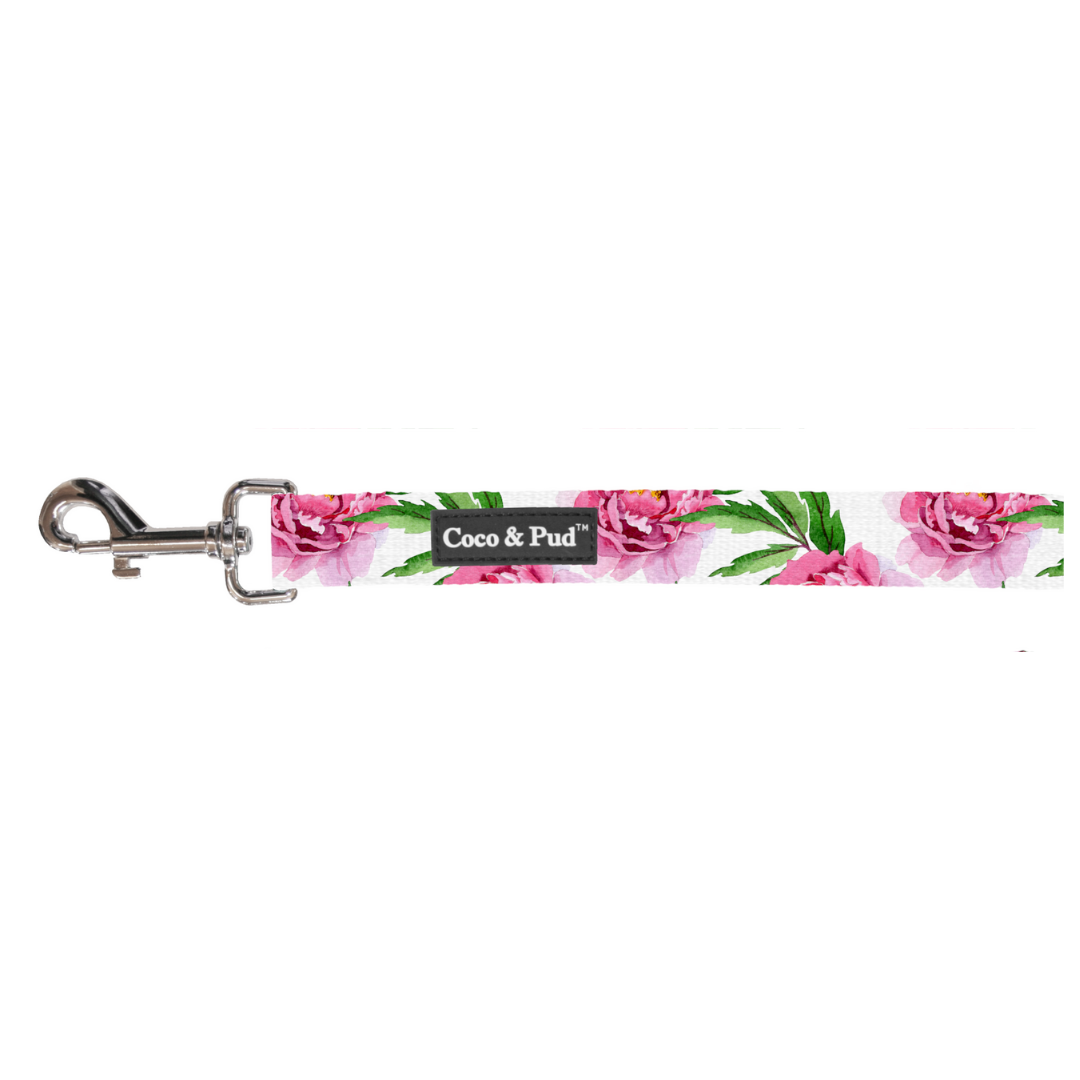 Coco & Pud Peony Cat Lead