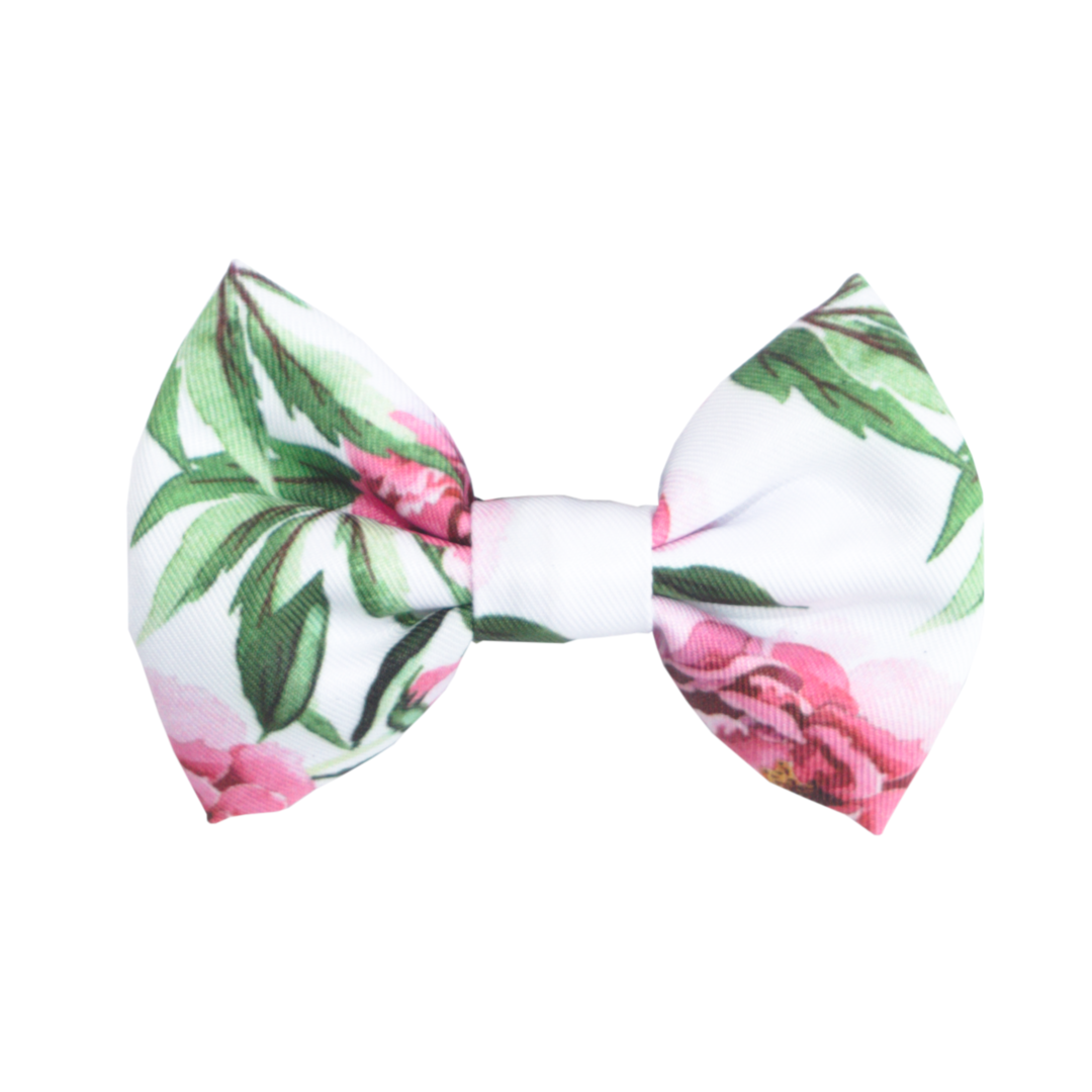 Coco & Pud Peony Bow tie - Coco & Pud