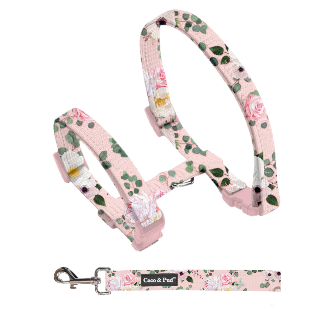 Coco & Pud Cat Harness & Lead Set