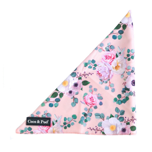 Coco & Pud Provence Rose Tie Up Bandana