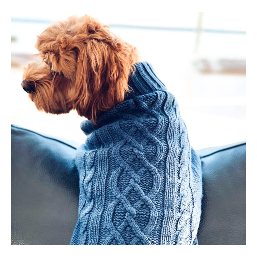 Ruby in Coco & Pud Coco Cable Pet Sweater