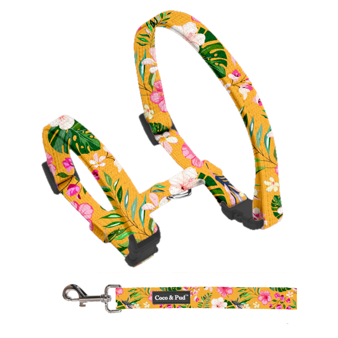 Coco & Pud Summer Sunrise Cat Harness & Lead Set