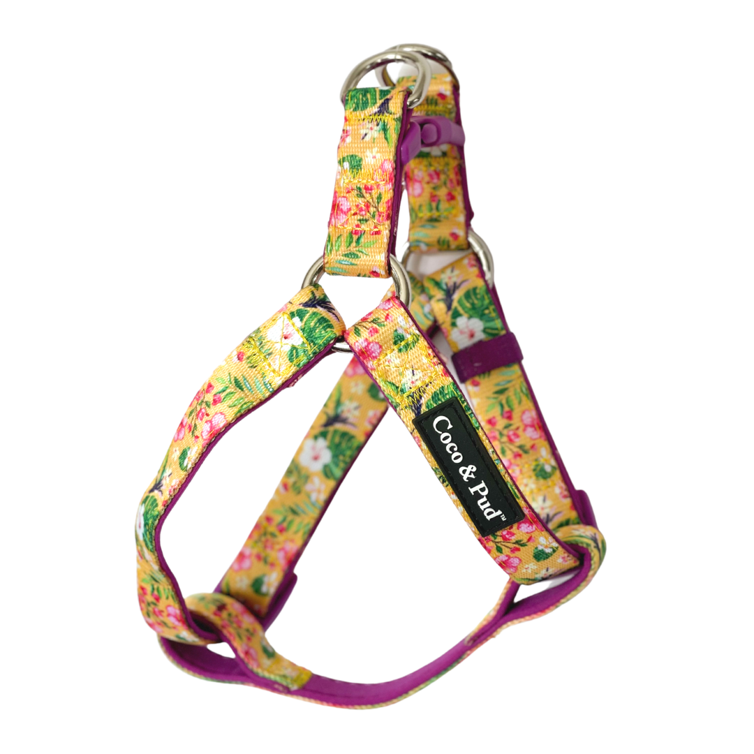Coco & Pud Summer Sunrise UniClip Lite Dog Harness