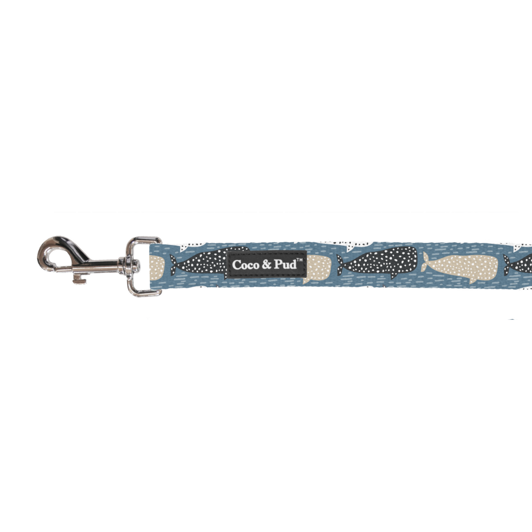 Coco & Pud Whale of a Time Cat Lead