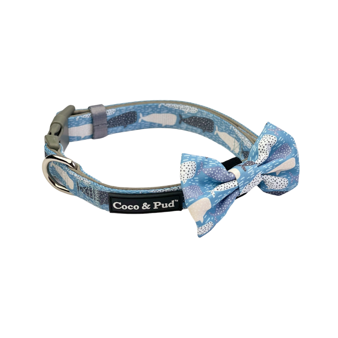 Coco & Pud collar & bow tie