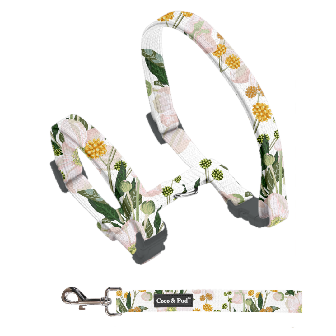 Coco & Pud Windflower Cat Harness & Lead Set