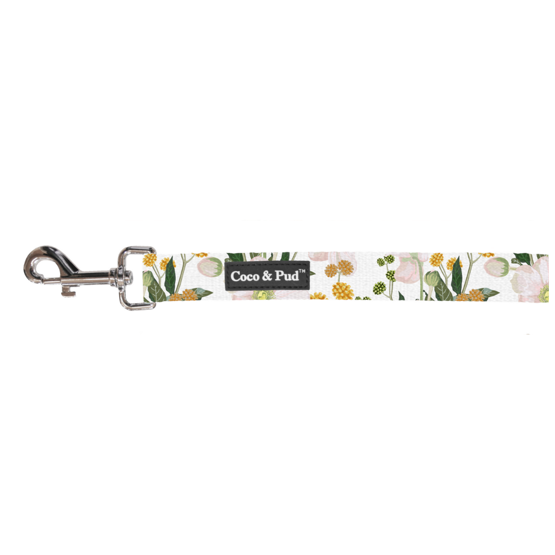 Coco & Pud Windflower Cat Lead
