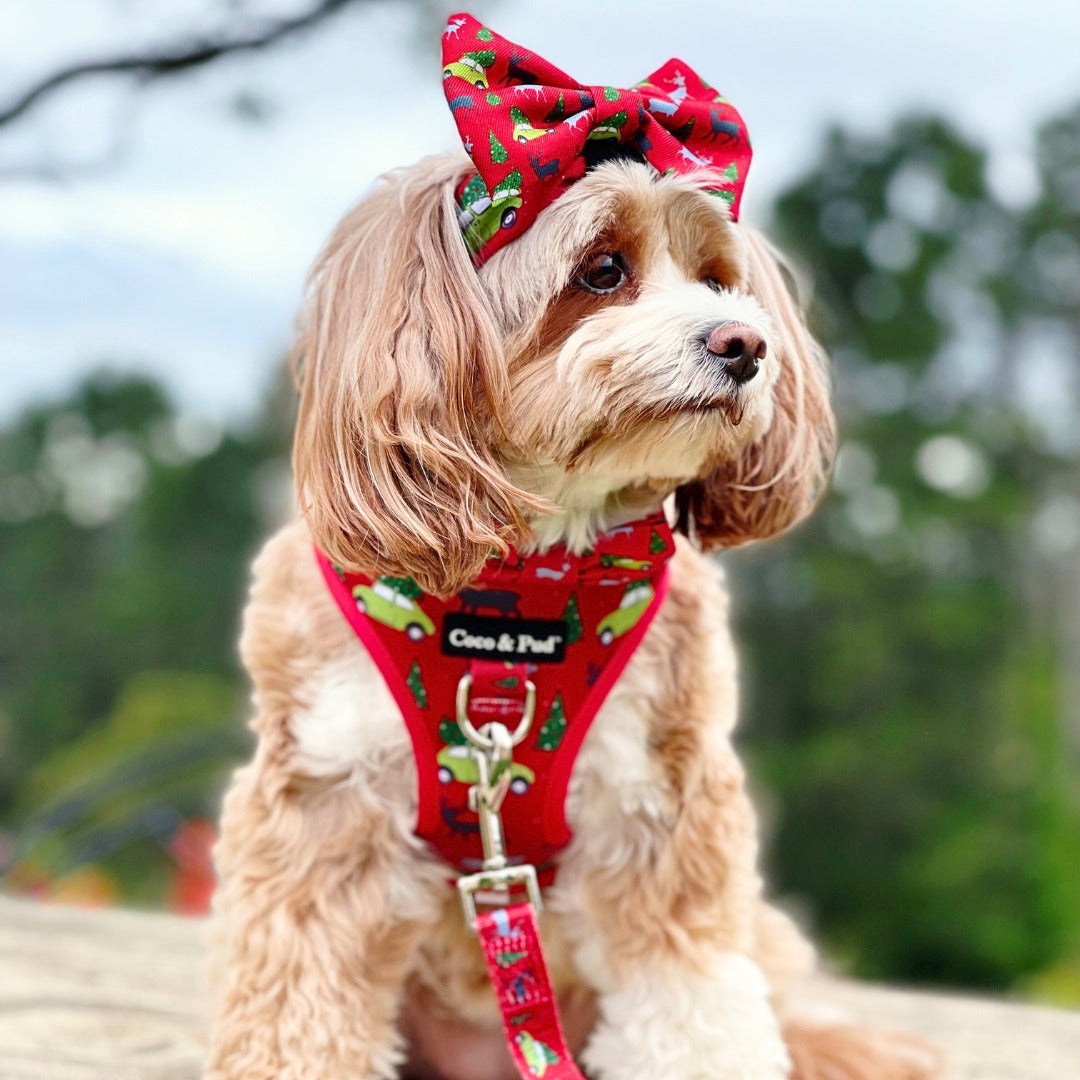 Deck the Paws Christmas Bundle - SAVE 15%