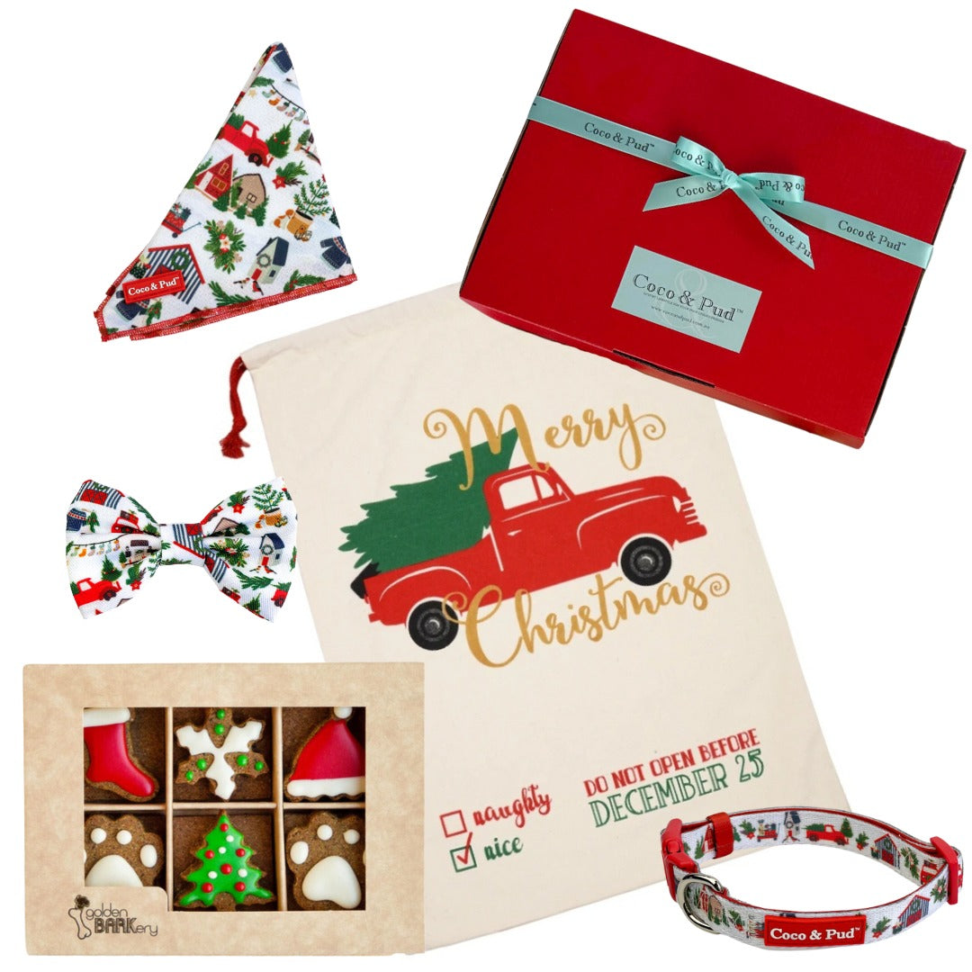 Coco & Pud Dog Christmas Hamper Mini - Home for Christmas