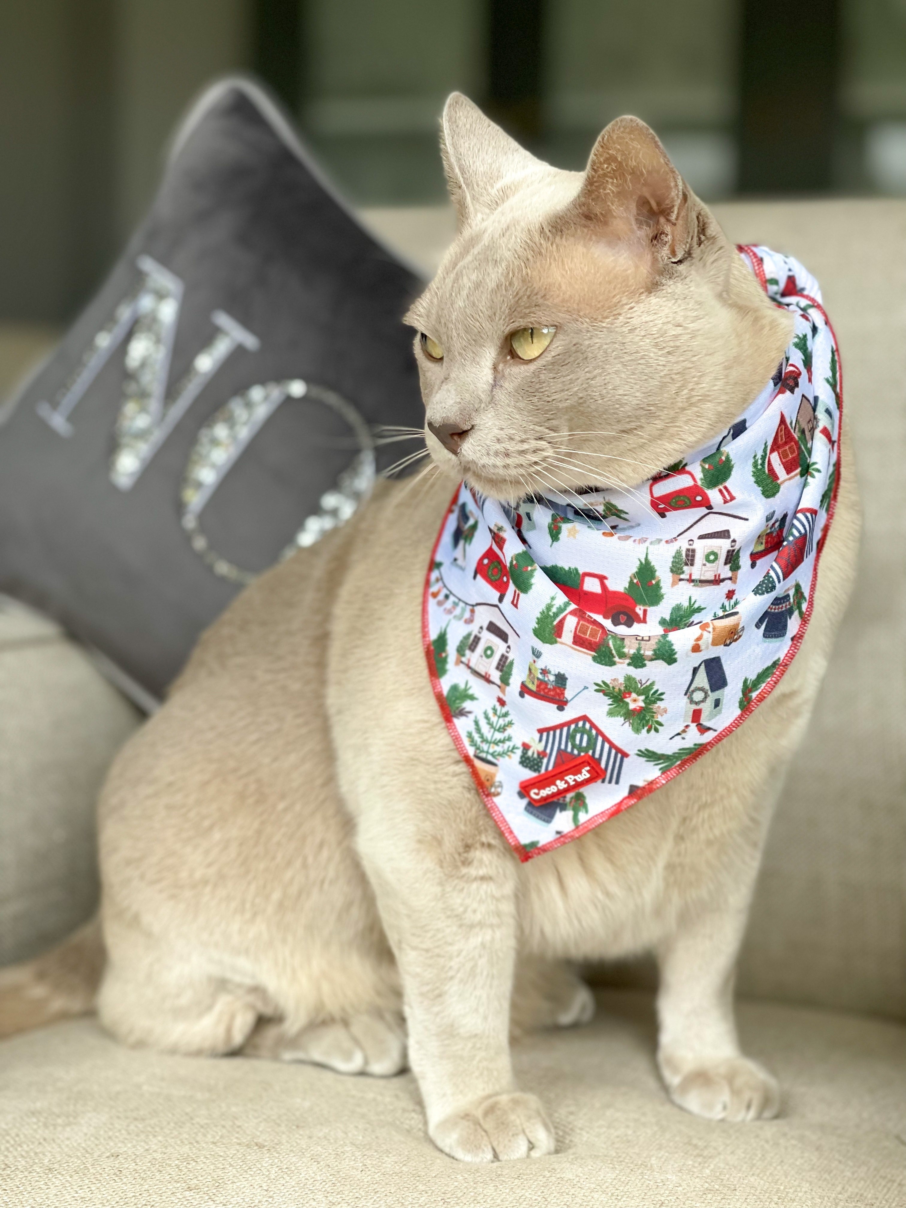 Coco & Pud Home for Christmas Cat bandana and christmas cat bundle