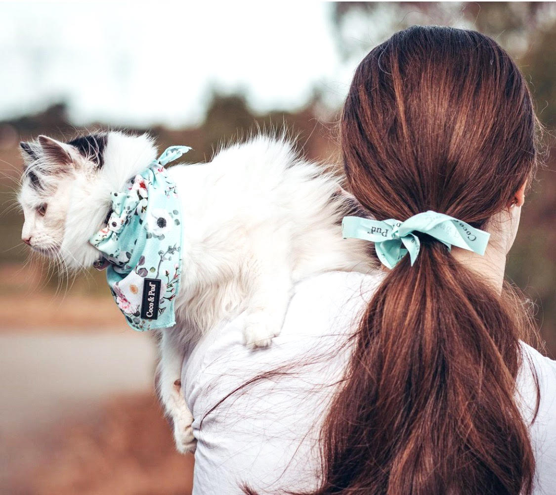 Coco & Pud French Azure Cat Bandana