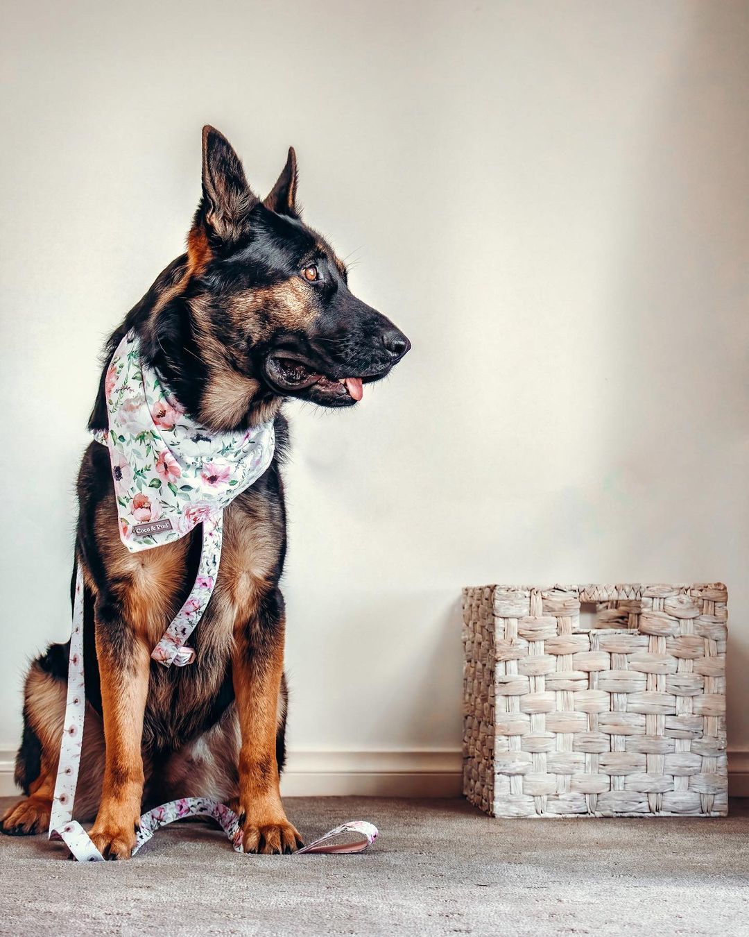 Coco & Pud Le Jardin Uniclip Lite Harness & Bandana