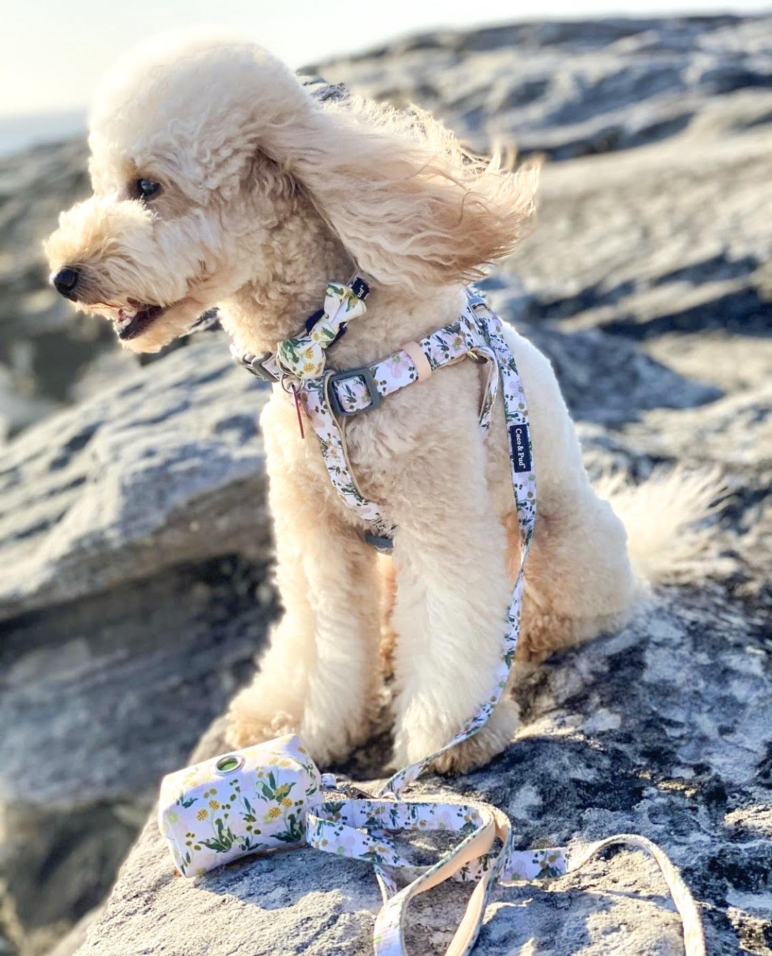 Coco & Pud Windlower Uniclip harness