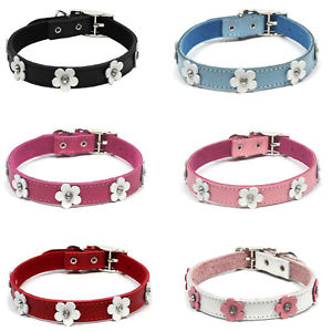 DOGUE Foxy Dog Collar - Coco & Pud