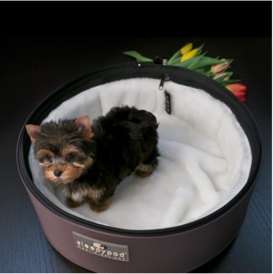 Coco & Pud Sleepypod with puppy inside - Dark Chocolate