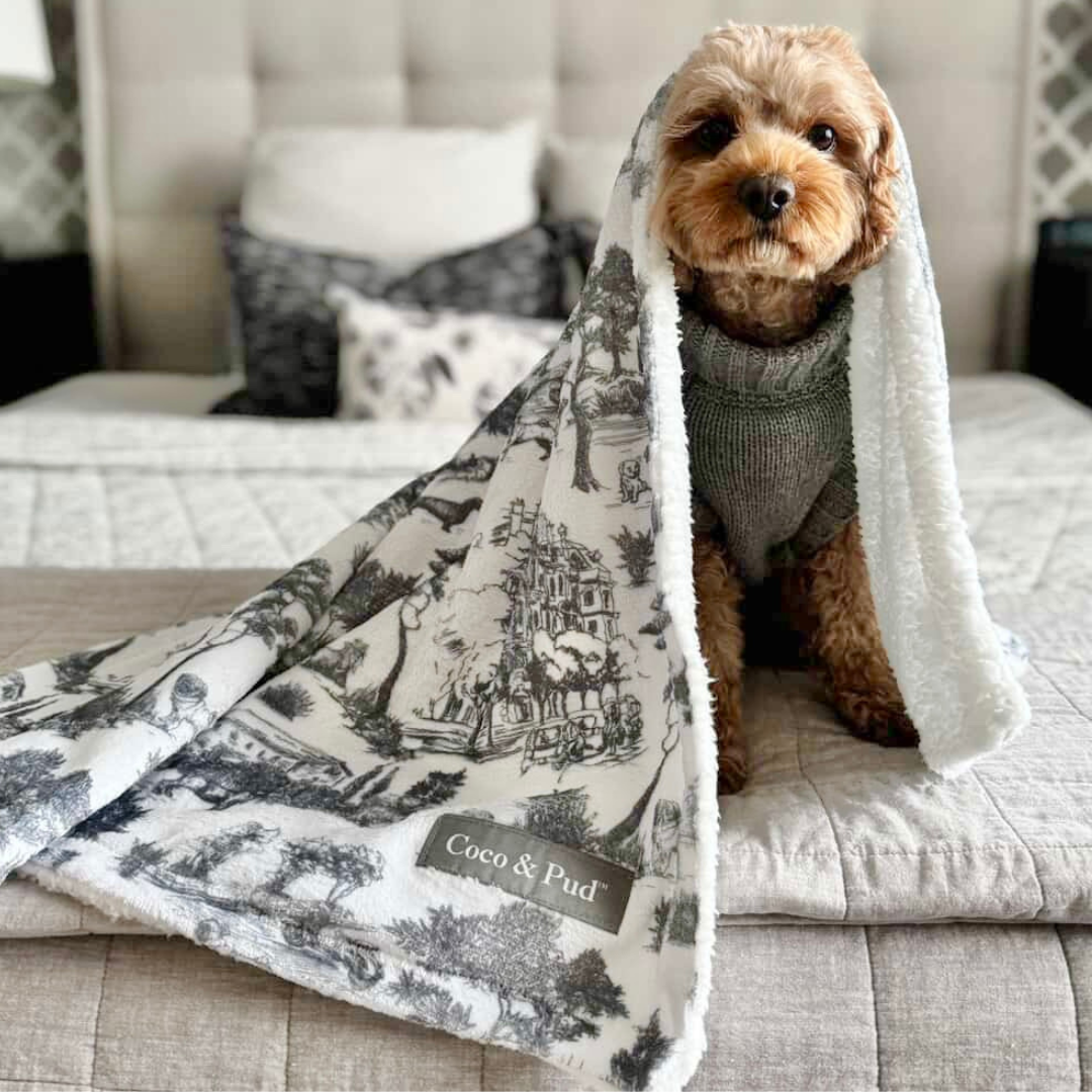 Toile de Chien Grey Pet Blanket