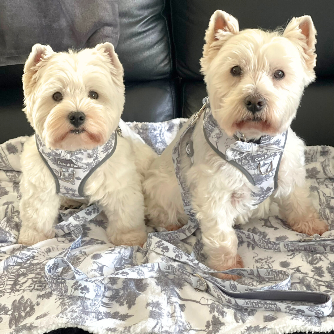 Toile de Chien Grey Pet Blanket
