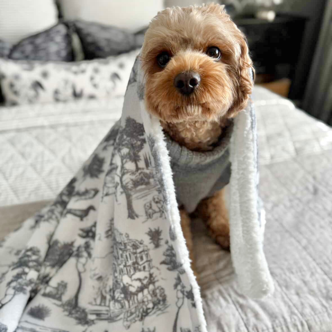 Toile de Chien Grey Pet Blanket