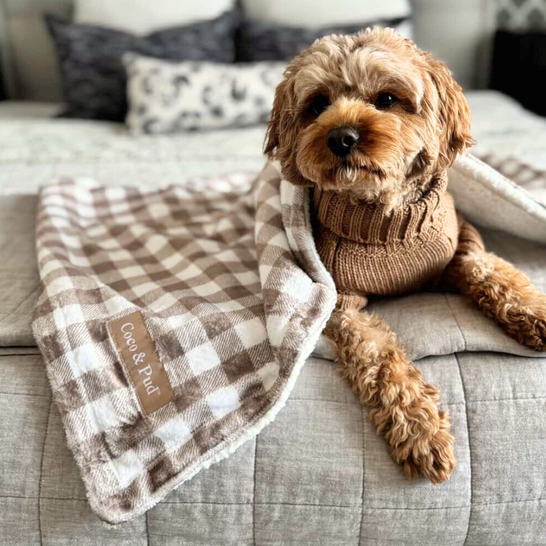 Gingham Mocha Luxe Pet Blanket - Coco & Pud