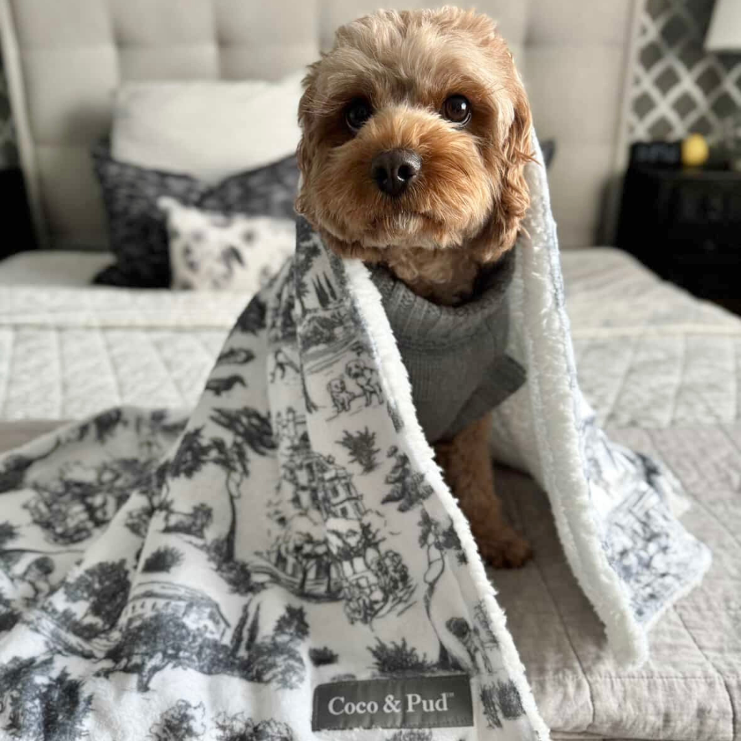 Toile de Chien Grey Pet Blanket