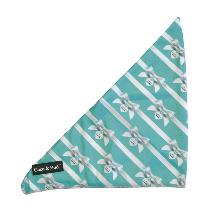 Coco & Pud Audrey Dog Bandana