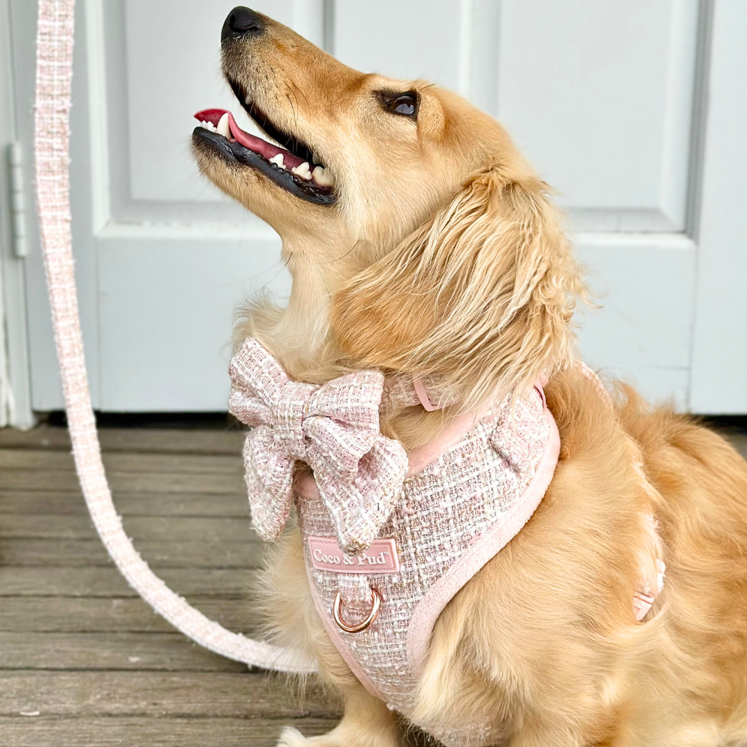Boucle de Luxe Adjustable Dog Harness - Rose Blush
