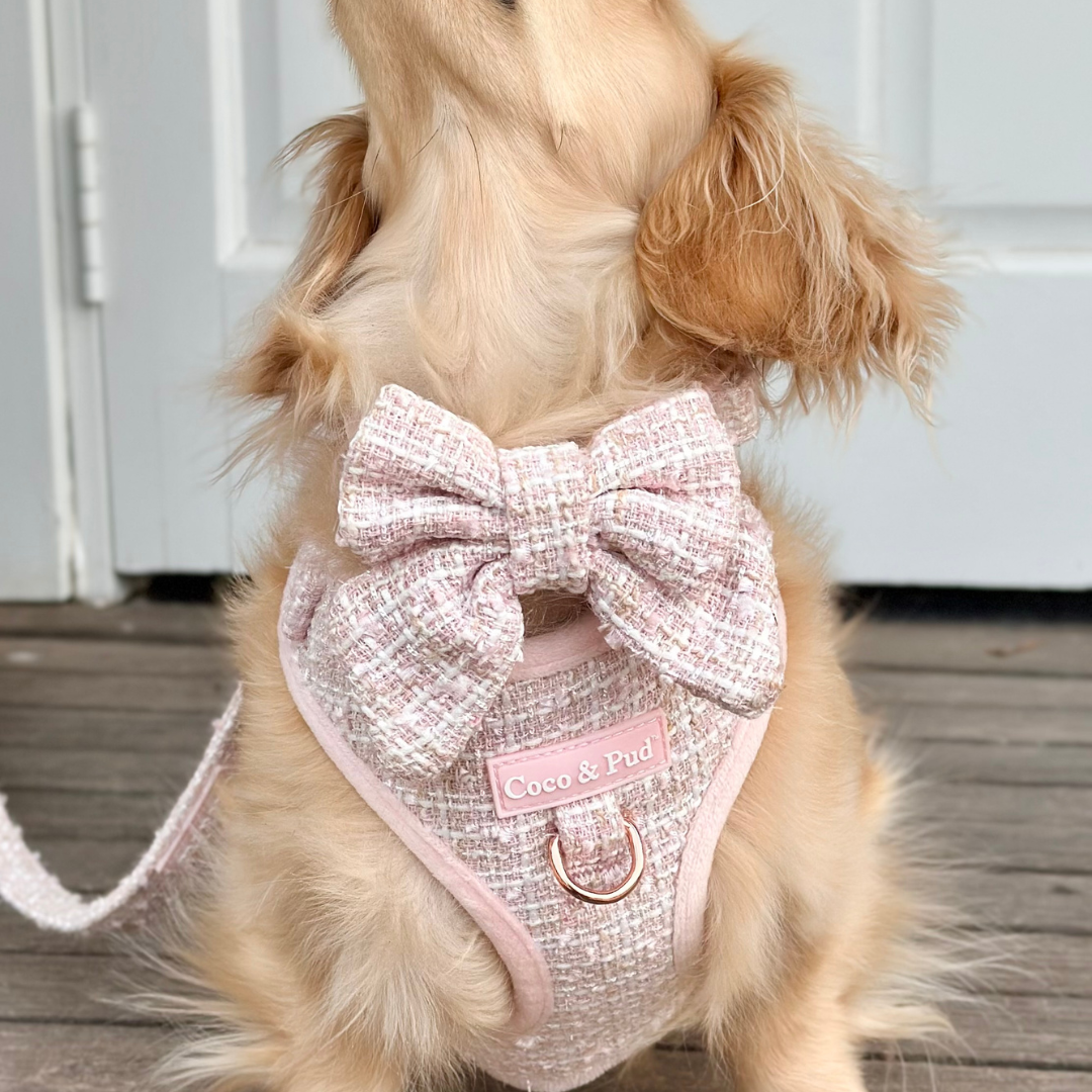 Boucle de Luxe Adjustable Dog Harness - Rose Blush