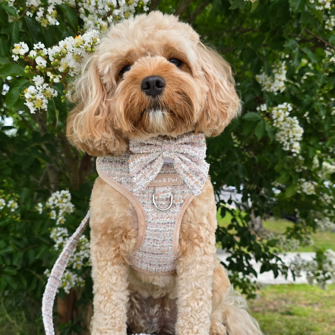 Boucle de Luxe Adjustable Dog Harness - Timeless Taupe