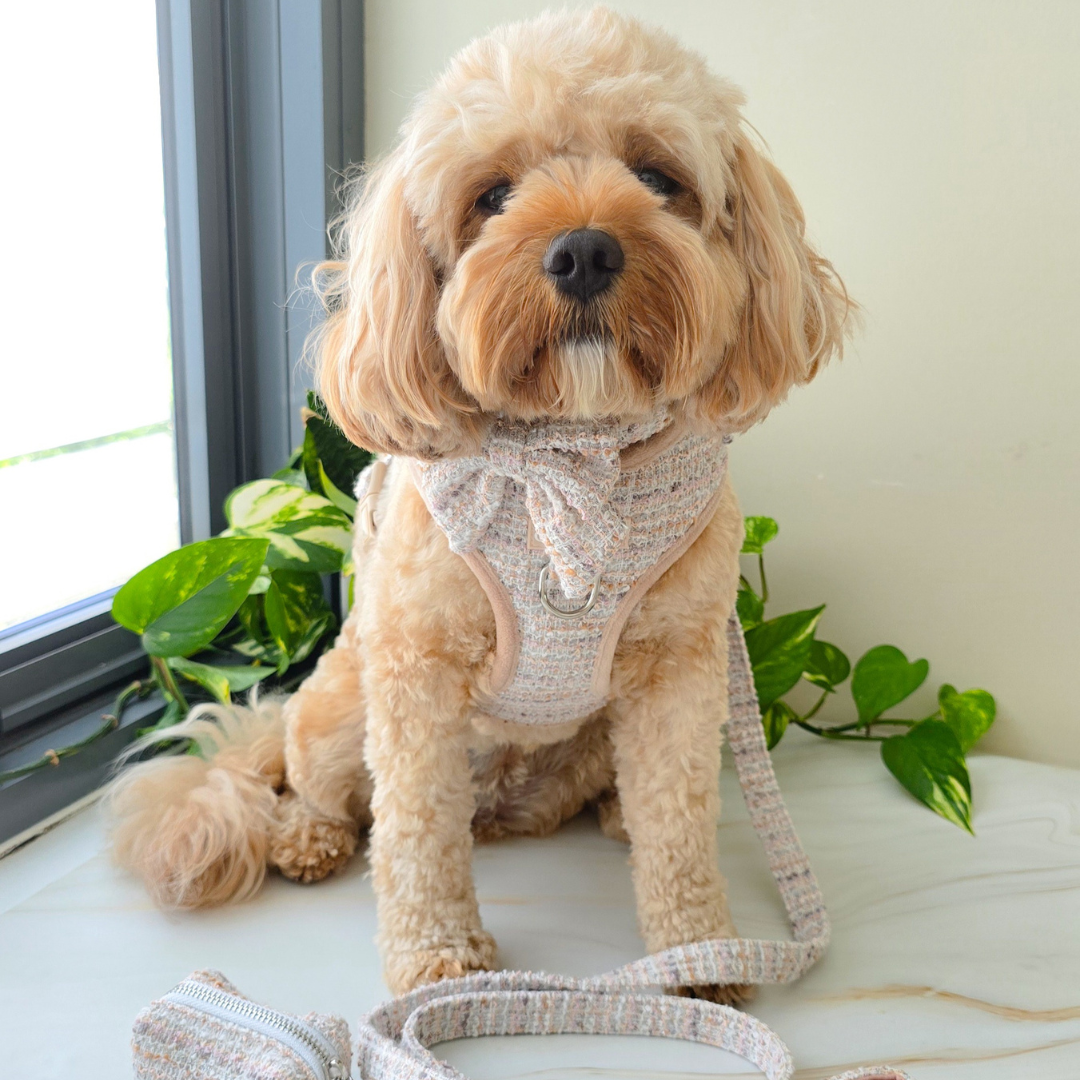 Boucle de Luxe Adjustable Dog Harness - Timeless Taupe
