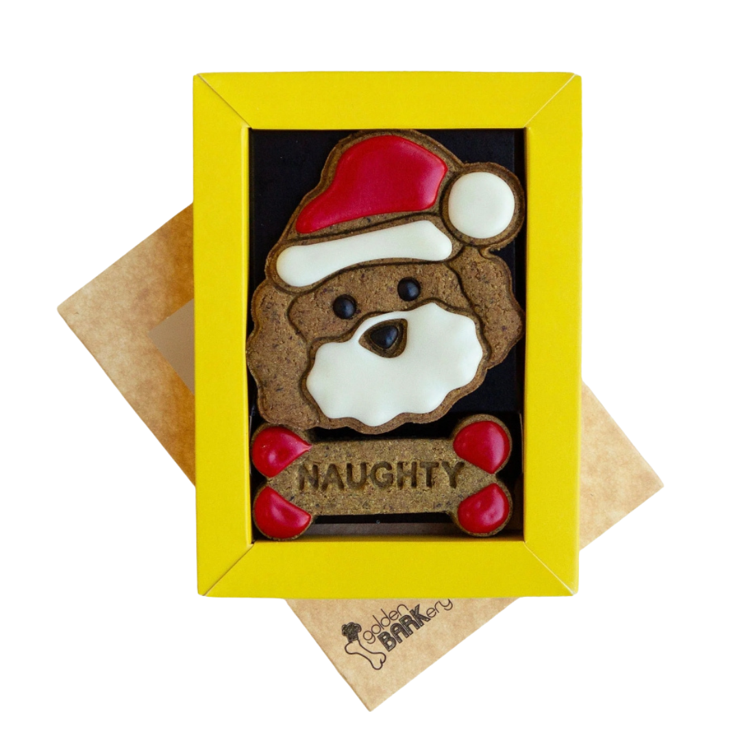 Christmas Dog Treats - Naughty and Nice
