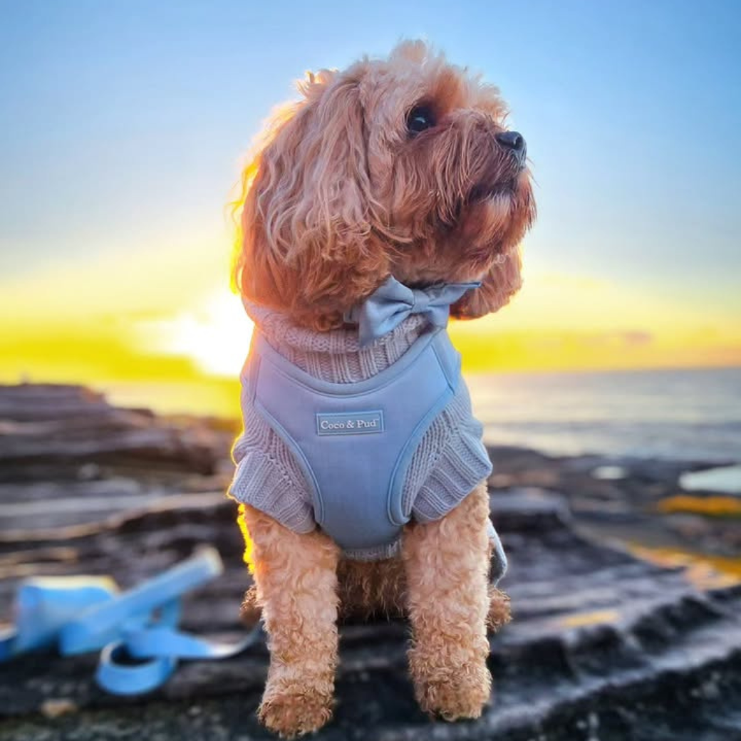 Coco & Pud Coco Cable Dog Sweater/ Dog Jumper - Powder Blue