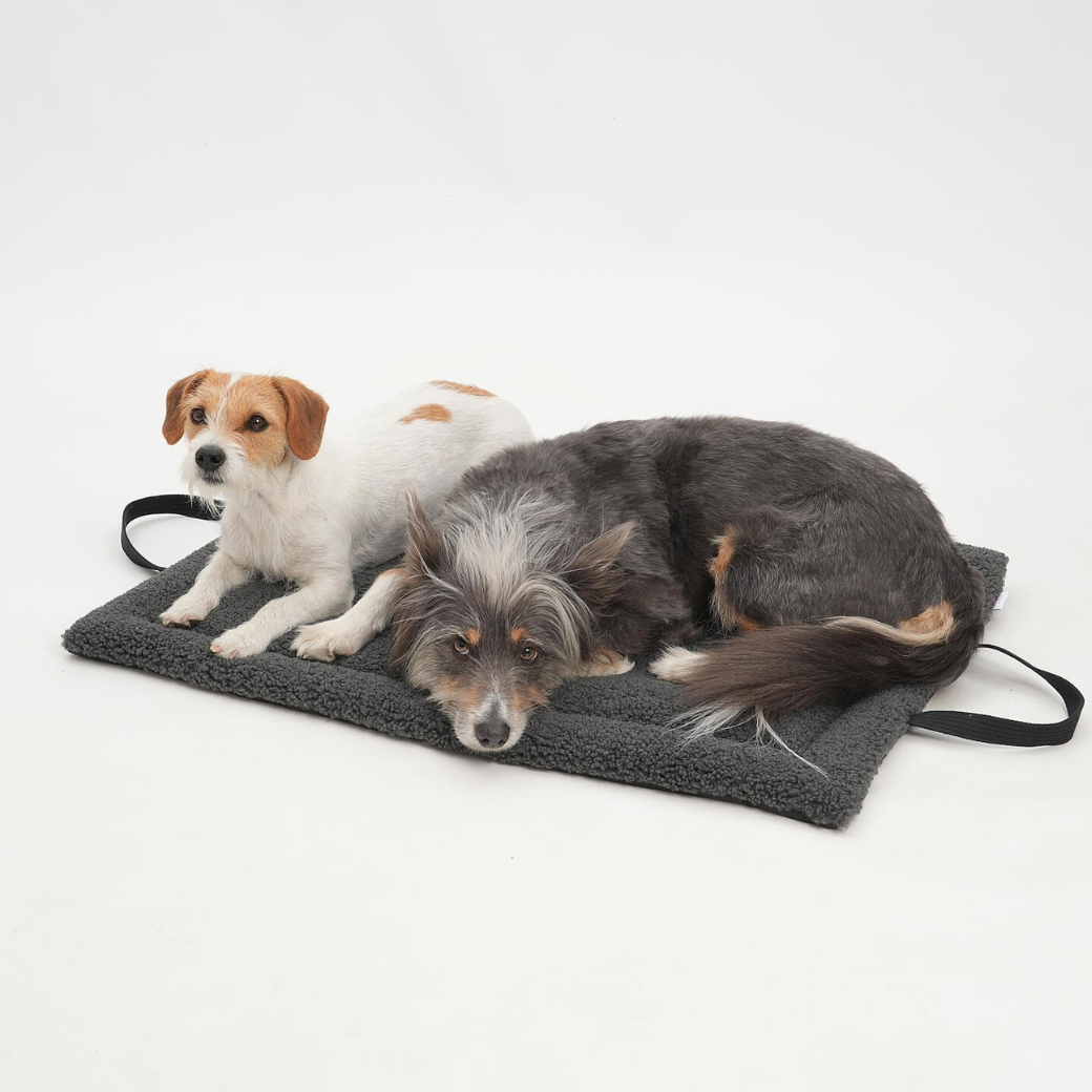 Coco & Pud - Matti Luxury Travel mat for dogs.Two dogs resting on a dark grey plush dog mat with black handles - Dogs in the City
