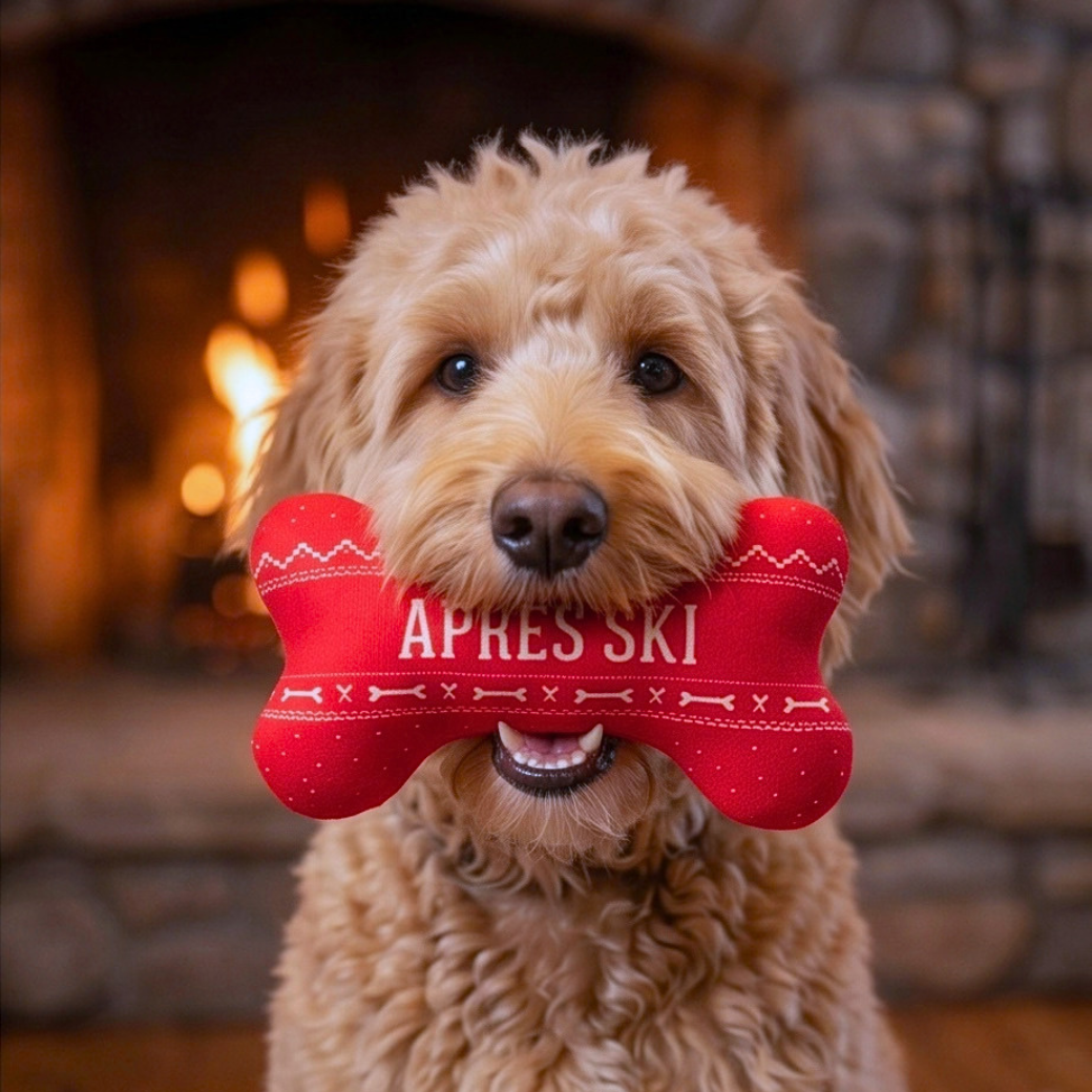 Coco & Pud - A golden doodle dog holding Apres Ski Bone,  red bone-shaped plush toy in its mouth, with the words 'APRES SKI' printed on the front. The dog is posed in front of a warm, blurred fireplace background - Haute Diggity Dog