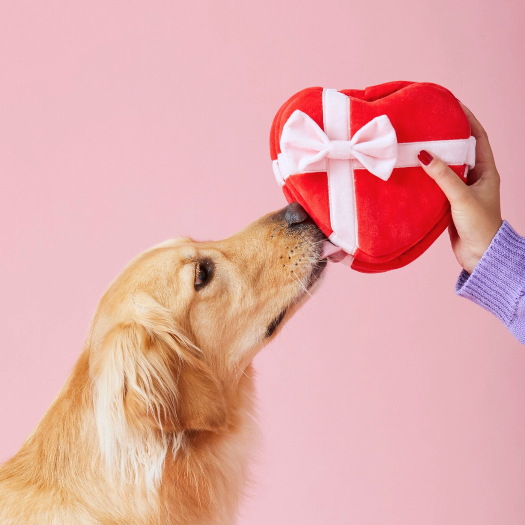 Be My Valentine Interactive Snuffle Dog Toy
