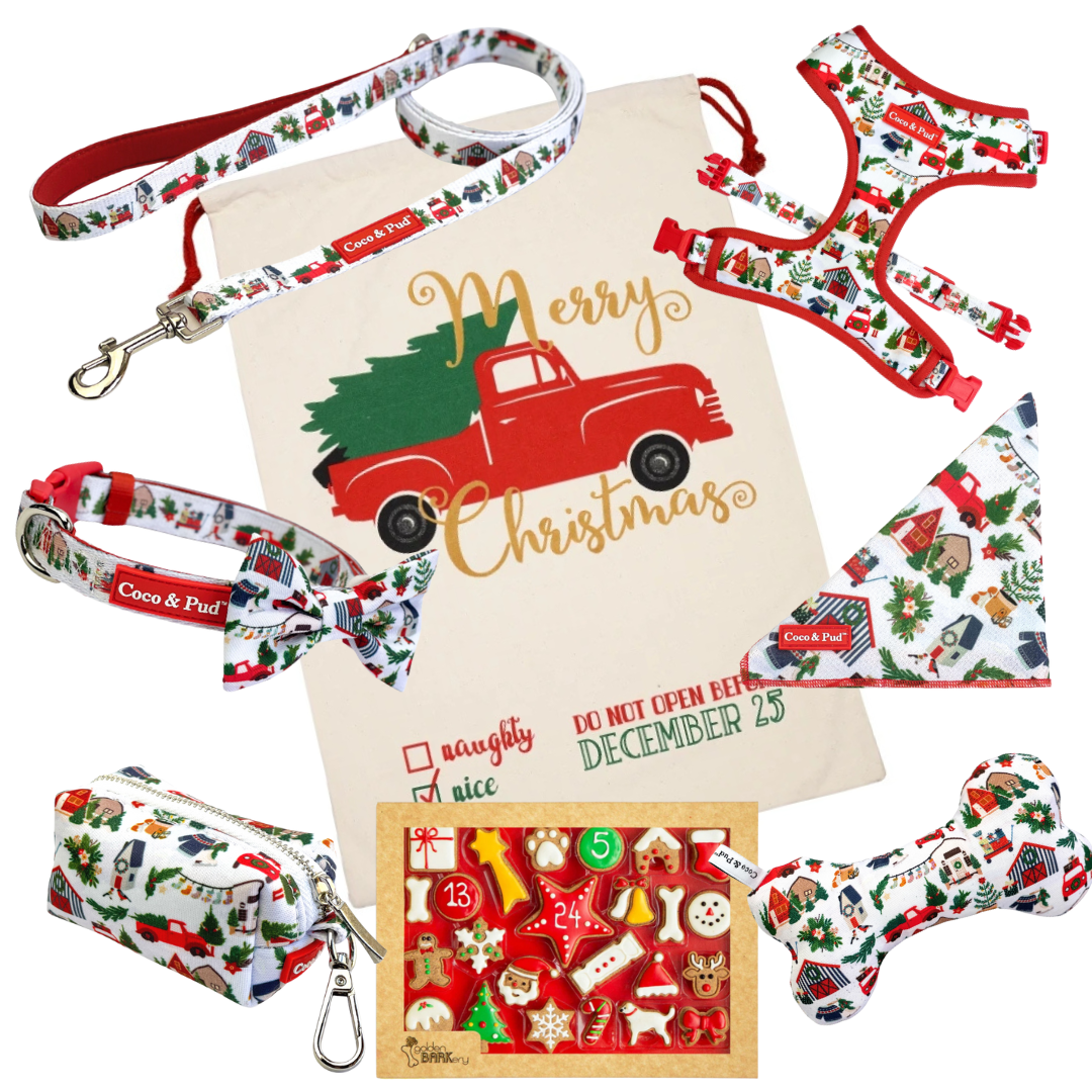 Coco & Pud Christmas Celebration Hamper - Home For Christmas