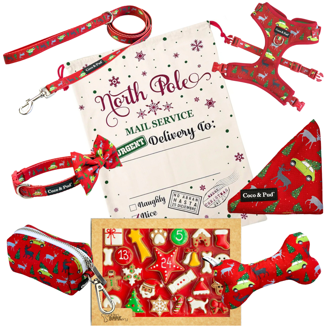Coco & Pud Christmas Celebration Hamper - Deck The Paws