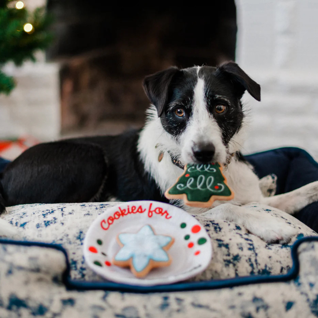 Coco & Pud Cokies For Santa Paws Christmas Dog Toy  with black and white dog - PLAY toys Australia