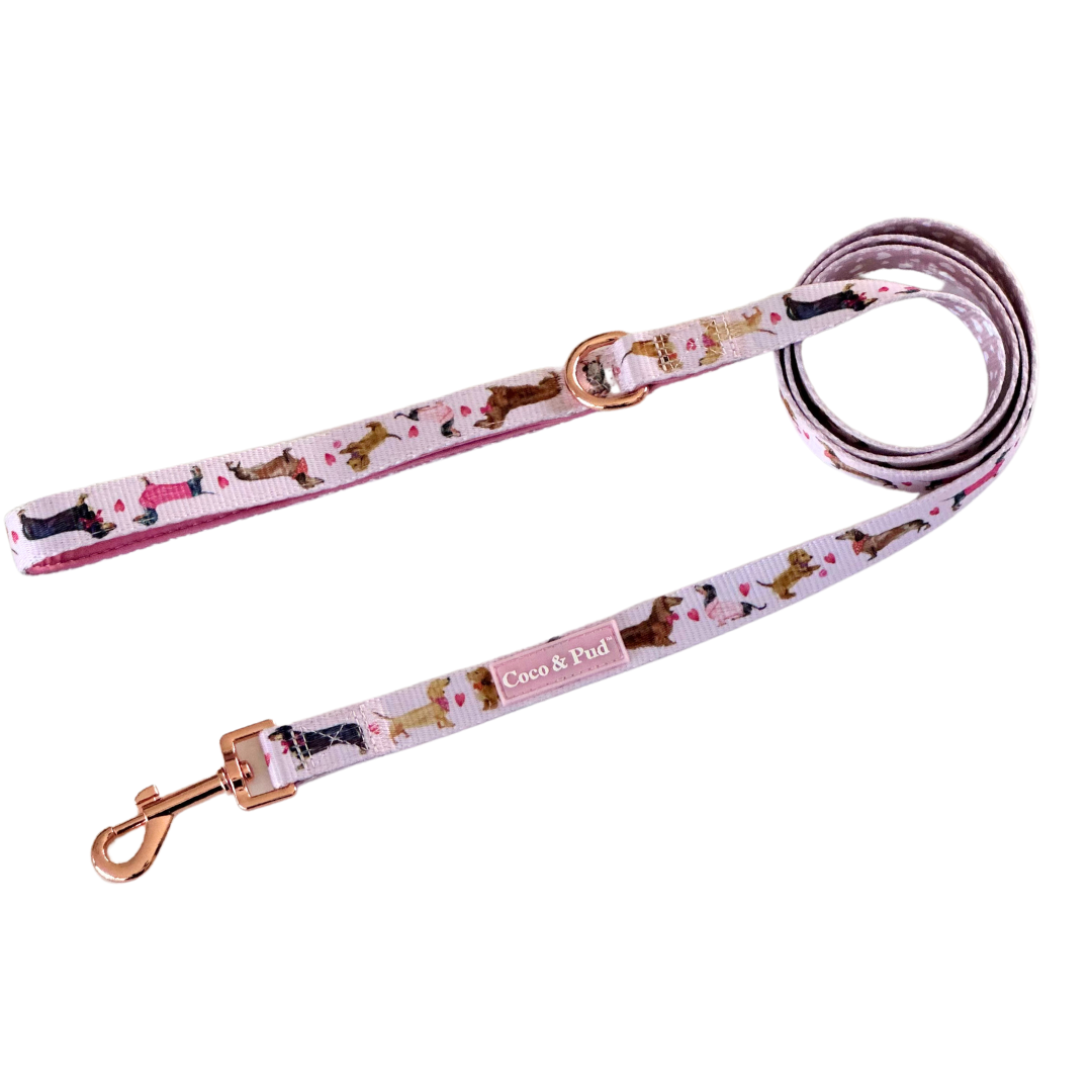Coco & Pud Doxie Rose Dog Lead/ Leash